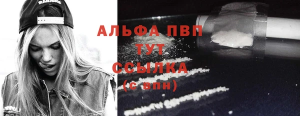 гидра Абаза