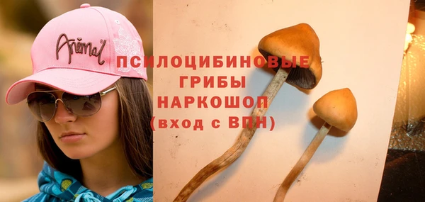 a pvp Абдулино