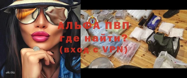 гидра Абаза